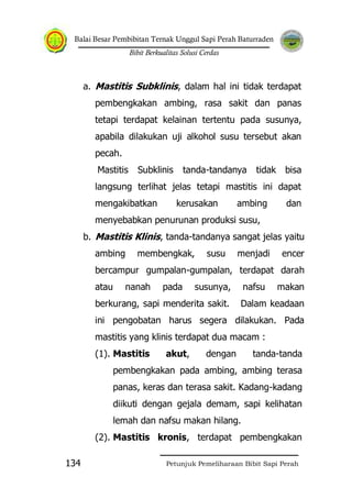 Balai Besar Pembibitan Ternak Unggul Sapi Perah Baturraden
Bibit Berkualitas Solusi Cerdas
Petunjuk Pemeliharaan Bibit Sapi Perah134
a. Mastitis Subklinis, dalam hal ini tidak terdapat
pembengkakan ambing, rasa sakit dan panas
tetapi terdapat kelainan tertentu pada susunya,
apabila dilakukan uji alkohol susu tersebut akan
pecah.
Mastitis Subklinis tanda-tandanya tidak bisa
langsung terlihat jelas tetapi mastitis ini dapat
mengakibatkan kerusakan ambing dan
menyebabkan penurunan produksi susu,
b. Mastitis Klinis, tanda-tandanya sangat jelas yaitu
ambing membengkak, susu menjadi encer
bercampur gumpalan-gumpalan, terdapat darah
atau nanah pada susunya, nafsu makan
berkurang, sapi menderita sakit. Dalam keadaan
ini pengobatan harus segera dilakukan. Pada
mastitis yang klinis terdapat dua macam :
(1). Mastitis akut, dengan tanda-tanda
pembengkakan pada ambing, ambing terasa
panas, keras dan terasa sakit. Kadang-kadang
diikuti dengan gejala demam, sapi kelihatan
lemah dan nafsu makan hilang.
(2). Mastitis kronis, terdapat pembengkakan
 