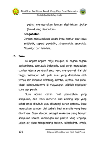 Balai Besar Pembibitan Ternak Unggul Sapi Perah Baturraden
Bibit Berkualitas Solusi Cerdas
Petunjuk Pemeliharaan Bibit Sapi Perah136
puting menggunakan larutan desinfektan iodine
(biosid yang diencerkan).
Pengobatan:
Dengan menyuntikkan secara intra mamari obat-obat
antibiotik, seperti penicillin, streptomicin, teramicin,
Neomicyn dan lain-lain.
F. Susu
Di negara-negara maju maupun di negara-negara
berkembang, termasuk Indonesia, sapi perah merupakan
sumber utama penghasil susu yang mempunyai nilai gizi
tinggi. Walaupun ada pula susu yang dihasilkan oleh
ternak lain misalnya kambing, domba, kerbau, dan kuda,
tetapi penggunaannya di masyarakat tidaklah sepopuler
susu sapi perah.
Susu adalah cairan hasil pemerahan yang
sempurna, dan terus menerus dari ambing sapi yang
sehat tanpa dibubuhi atau dikurangi bahan tertentu. Susu
merupakan sumber gizi terbaik bagi mamalia yang baru
dilahirkan. Susu disebut sebagai makanan yang hampir
sempurna karena kandungan zat gizinya yang lengkap.
Selain air, susu mengandung protein, karbohidrat, lemak,
 