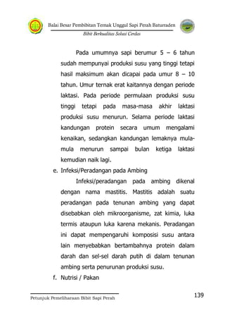 Balai Besar Pembibitan Ternak Unggul Sapi Perah Baturraden
Bibit Berkualitas Solusi Cerdas
Petunjuk Pemeliharaan Bibit Sapi Perah
139
Pada umumnya sapi berumur 5 – 6 tahun
sudah mempunyai produksi susu yang tinggi tetapi
hasil maksimum akan dicapai pada umur 8 – 10
tahun. Umur ternak erat kaitannya dengan periode
laktasi. Pada periode permulaan produksi susu
tinggi tetapi pada masa-masa akhir laktasi
produksi susu menurun. Selama periode laktasi
kandungan protein secara umum mengalami
kenaikan, sedangkan kandungan lemaknya mula-
mula menurun sampai bulan ketiga laktasi
kemudian naik lagi.
e. Infeksi/Peradangan pada Ambing
Infeksi/peradangan pada ambing dikenal
dengan nama mastitis. Mastitis adalah suatu
peradangan pada tenunan ambing yang dapat
disebabkan oleh mikroorganisme, zat kimia, luka
termis ataupun luka karena mekanis. Peradangan
ini dapat mempengaruhi komposisi susu antara
lain menyebabkan bertambahnya protein dalam
darah dan sel-sel darah putih di dalam tenunan
ambing serta penurunan produksi susu.
f. Nutrisi / Pakan
 