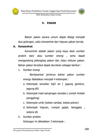 Balai Besar Pembibitan Ternak Unggul Sapi Perah Baturraden
Bibit Berkualitas Solusi Cerdas
Petunjuk Pemeliharaan Bibit Sapi Perah
189
V. PAKAN
Bahan pakan secara umum dapat dibagi menjadi
dua golongan, yaitu konsentrat dan hijauan pakan ternak.
A. Konsentrat
Konsentrat adalah pakan yang kaya akan sumber
protein dan/ atau sumber energi , serta dapat
mengandung pelengkap pakan dan /atau imbuan pakan.
Bahan pakan tersebut dapat diuraikan sebagai berikut :
1. Sumber energi
Berdasarkan jenisnya bahan pakan sumber
energy dibedakan menjadi 4 kelompok :
a. Kelompok serealia/ biji2 an ( jagung gandum,
jagung dll)
b. Kelompok hasil sampingan serealia ( contoh limbah
penggiling}
c. Kelompok umbi (ketele rambat, ketela pohon)
d. Kelompok hijauan, rumput gajah, benggala ,
setaria dll.
2. Sumber protein
Golongan ini dibedakan 3 kelompok :
 