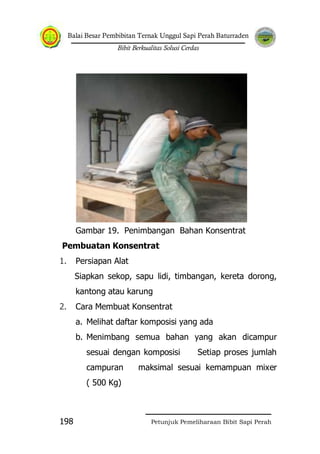 Balai Besar Pembibitan Ternak Unggul Sapi Perah Baturraden
Bibit Berkualitas Solusi Cerdas
Petunjuk Pemeliharaan Bibit Sapi Perah198
Gambar 19. Penimbangan Bahan Konsentrat
Pembuatan Konsentrat
1. Persiapan Alat
Siapkan sekop, sapu lidi, timbangan, kereta dorong,
kantong atau karung
2. Cara Membuat Konsentrat
a. Melihat daftar komposisi yang ada
b. Menimbang semua bahan yang akan dicampur
sesuai dengan komposisi Setiap proses jumlah
campuran maksimal sesuai kemampuan mixer
( 500 Kg)
 