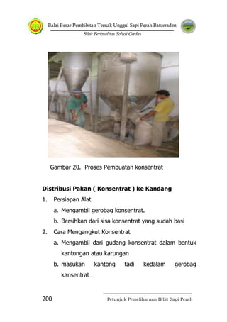 Balai Besar Pembibitan Ternak Unggul Sapi Perah Baturraden
Bibit Berkualitas Solusi Cerdas
Petunjuk Pemeliharaan Bibit Sapi Perah200
Gambar 20. Proses Pembuatan konsentrat
Distribusi Pakan ( Konsentrat ) ke Kandang
1. Persiapan Alat
a. Mengambil gerobag konsentrat.
b. Bersihkan dari sisa konsentrat yang sudah basi
2. Cara Mengangkut Konsentrat
a. Mengambil dari gudang konsentrat dalam bentuk
kantongan atau karungan
b. masukan kantong tadi kedalam gerobag
kansentrat .
 