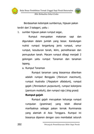 Balai Besar Pembibitan Ternak Unggul Sapi Perah Baturraden
Bibit Berkualitas Solusi Cerdas
Petunjuk Pemeliharaan Bibit Sapi Perah202
Berdasarkan kelompok sumbernya, hijauan pakan
terdiri dari 3 katagori, yaitu :
1. sumber hijauan pakan rumput segar,
Rumput merupakan makanan sapi dan
digunakan dalam jumlah yang besar. Kandungan
nutrisi rumput tergantung jenis rumput, umur
rumput, kesuburan tanah, iklim, pemeliharaan dan
pemupukan tanah. Macam rumput dibagi menjadi 2
golongan yaitu rumput Tanaman dan tanaman
lapang.
a. Rumput Tanaman
Rumput tanaman yang biasannya diberikan
adalah rumput Benggala (Panicum macimum),
rumput Australia (Paspalum dilalatum), rumput
gajah (Pennisetum purpureum), rumput kolonjono
(panicum muktuh), dan rumput raja (king grass)
Rumput gajah
Rumput gajah merupakan keluarga rumput
rumputan (graminae) yang telah dikenal
manfaatnya sebagai pakan ternak Ruminansia
yang alamiah di Asia Tenggara. Rumput ini
biasanya dipanen dengan cara membabat seluruh
 