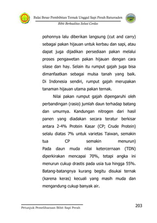 Balai Besar Pembibitan Ternak Unggul Sapi Perah Baturraden
Bibit Berkualitas Solusi Cerdas
Petunjuk Pemeliharaan Bibit Sapi Perah
203
pohonnya lalu diberikan langsung (cut and carry)
sebagai pakan hijauan untuk kerbau dan sapi, atau
dapat juga dijadikan persediaan pakan melalui
proses pengawetan pakan hijauan dengan cara
silase dan hay. Selain itu rumput gajah juga bisa
dimanfaatkan sebagai mulsa tanah yang baik.
Di Indonesia sendiri, rumput gajah merupakan
tanaman hijauan utama pakan ternak.
Nilai pakan rumput gajah dipengaruhi oleh
perbandingan (rasio) jumlah daun terhadap batang
dan umurnya. Kandungan nitrogen dari hasil
panen yang diadakan secara teratur berkisar
antara 2-4% Protein Kasar (CP; Crude Protein)
selalu diatas 7% untuk varietas Taiwan, semakin
tua CP semakin menurun)
Pada daun muda nilai ketercernaan (TDN)
diperkirakan mencapai 70%, tetapi angka ini
menurun cukup drastis pada usia tua hingga 55%.
Batang-batangnya kurang begitu disukai ternak
(karena keras) kecuali yang masih muda dan
mengandung cukup banyak air.
 