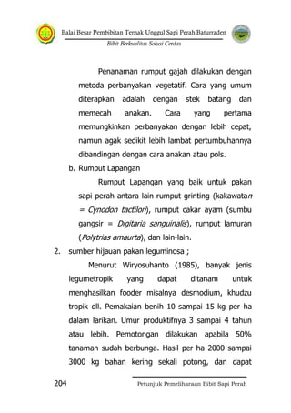 Balai Besar Pembibitan Ternak Unggul Sapi Perah Baturraden
Bibit Berkualitas Solusi Cerdas
Petunjuk Pemeliharaan Bibit Sapi Perah204
Penanaman rumput gajah dilakukan dengan
metoda perbanyakan vegetatif. Cara yang umum
diterapkan adalah dengan stek batang dan
memecah anakan. Cara yang pertama
memungkinkan perbanyakan dengan lebih cepat,
namun agak sedikit lebih lambat pertumbuhannya
dibandingan dengan cara anakan atau pols.
b. Rumput Lapangan
Rumput Lapangan yang baik untuk pakan
sapi perah antara lain rumput grinting (kakawatan
= Cynodon tactilon), rumput cakar ayam (sumbu
gangsir = Digitaria sanguinalis), rumput lamuran
(Polytrias amaurta), dan lain-lain.
2. sumber hijauan pakan leguminosa ;
Menurut Wiryosuhanto (1985), banyak jenis
legumetropik yang dapat ditanam untuk
menghasilkan fooder misalnya desmodium, khudzu
tropik dll. Pemakaian benih 10 sampai 15 kg per ha
dalam larikan. Umur produktifnya 3 sampai 4 tahun
atau lebih. Pemotongan dilakukan apabila 50%
tanaman sudah berbunga. Hasil per ha 2000 sampai
3000 kg bahan kering sekali potong, dan dapat
 