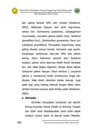 Balai Besar Pembibitan Ternak Unggul Sapi Perah Baturraden
Bibit Berkualitas Solusi Cerdas
Petunjuk Pemeliharaan Bibit Sapi Perah206
dan paling banyak 50% dari rumput (Soetarno,
2003). Beberapa hijauan dari jenis leguminoa,
antara lain Centrosema pubescens, Calopogonium
mucunoides, Leucaena glauca (petai cina), Sesbania
grandiflora (turi), Stylosanthes guyanensis. Daun turi
(Sesbania grandiflora). Merupakan leguminosa yang
paling disukai semua ternak, termasuk sapi perah.
Kandungan proteinnya rata-rata 40% dari bahan
kering. Daun kelorworo (jayanti atau Sesbania
sesban), pohon serta daunnya lkebih keciol daripada
turi, dan tidak begitu digemari, tetrapi dapat dibuat
campuran pakan hijauan. Daun lamtoro ( Leucaena
glauca ), mempunyai kadar proteiunnya tinggi dan
disukai, tidak boleh diberikan terlalu banyak. Juga
pada sapi yang sedang diperah jangan diberi daun
lamtoro karena susunya akan berbau petai (Soetarno,
2003).
a. Glirisidia
Glirisidia merupakan tumbuhan asli daerah
kering-musiman Pantai Pasifik di Amerika Tengah
dan telah lama dibudidayakan serta telah dapat
tumbuh secara alami di daerah tropis Meksiko,
 