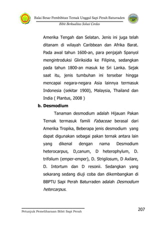Balai Besar Pembibitan Ternak Unggul Sapi Perah Baturraden
Bibit Berkualitas Solusi Cerdas
Petunjuk Pemeliharaan Bibit Sapi Perah
207
Amerika Tengah dan Selatan. Jenis ini juga telah
ditanam di wilayah Caribbean dan Afrika Barat.
Pada awal tahun 1600-an, para penjajah Spanyol
mengintroduksi Gliriksidia ke Filipina, sedangkan
pada tahun 1800-an masuk ke Sri Lanka. Sejak
saat itu, jenis tumbuhan ini tersebar hingga
mencapai negara-negara Asia lainnya termasuk
Indonesia (sekitar 1900), Malaysia, Thailand dan
India ( Plantus, 2008 )
b. Desmodium
Tanaman desmodium adalah Hijauan Pakan
Ternak termasuk famili Fabaceae berasal dari
Amerika Tropika, Beberapa jenis desmodium yang
dapat digunakan sebagai pakan ternak antara lain
yang dikenal dengan nama Desmodium
heterocarpus, D,canum, D heterophylum, D.
trifolium (emper-emper), D. Strigilosum, D Axilare,
D. Intortum dan D resonii. Sedangkan yang
sekarang sedang diuji coba dan dikembangkan di
BBPTU Sapi Perah Baturraden adalah Desmodium
hetercarpus.
 