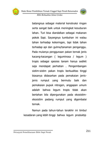 Balai Besar Pembibitan Ternak Unggul Sapi Perah Baturraden
Bibit Berkualitas Solusi Cerdas
Petunjuk Pemeliharaan Bibit Sapi Perah
211
batangnya sebagai material konstruksi ringan
serta sangat baik untuk meningkat kesuburan
lahan. Turi bisa diandalkan sebagai makanan
pokok Sapi. Sayangnya tumbuhan ini walau
tahan terhadap kekeringan, tapi tidak tahan
terhadap api dan gulma/tanaman penganggu.
Pada mulanya penggunaan pakan ternak jenis
kacang-kacangan ( leguminosa / legum )
tropis sebagai spesies tanam hanya sedikit
saja mendapat perhatian . Pengembangan
sistim-sistim pakan tropis berkualitas tinggi
biasanya didasarkan pada pemakaian jenis-
jenis rumput yang bermutu baik dan
pemakaian pupuk nitrogen, anggapan umum
adalah bahwa legum tropis tidak akan
bertahan bila dipergunakan pada ekosistim-
ekosistim padang rumput yang digembalai
ternak.
Namun pada tahun-tahun terakhir ini timbul
kesadaran yang lebih tinggi bahwa legum produktip
 