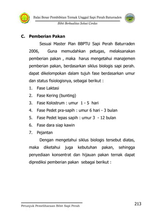 Balai Besar Pembibitan Ternak Unggul Sapi Perah Baturraden
Bibit Berkualitas Solusi Cerdas
Petunjuk Pemeliharaan Bibit Sapi Perah
213
C. Pemberian Pakan
Sesuai Master Plan BBPTU Sapi Perah Baturraden
2006, Guna memudahkan petugas, melaksanakan
pemberian pakan , maka harus mengetahui manajemen
pemberian pakan, berdasarkan siklus biologis sapi perah.
dapat dikelompokan dalam tujuh fase berdasarkan umur
dan status fisiologisnya, sebagai berikut :
1. Fase Laktasi
2. Fase Kering (bunting)
3. Fase Kolostrum : umur 1 - 5 hari
4. Fase Pedet pra-sapih : umur 6 hari - 3 bulan
5. Fase Pedet lepas sapih : umur 3 - 12 bulan
6. Fase dara siap kawin
7. Pejantan
Dengan mengetahui siklus biologis tersebut diatas,
maka diketahui juga kebutuhan pakan, sehingga
penyediaan konsentrat dan hijauan pakan ternak dapat
diprediksi pemberian pakan sebagai berikut :
 