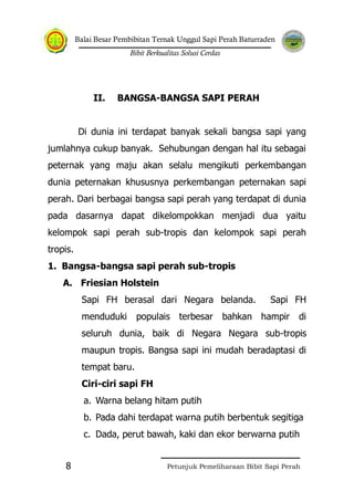 Balai Besar Pembibitan Ternak Unggul Sapi Perah Baturraden
Bibit Berkualitas Solusi Cerdas
Petunjuk Pemeliharaan Bibit Sapi Perah8
II. BANGSA-BANGSA SAPI PERAH
Di dunia ini terdapat banyak sekali bangsa sapi yang
jumlahnya cukup banyak. Sehubungan dengan hal itu sebagai
peternak yang maju akan selalu mengikuti perkembangan
dunia peternakan khususnya perkembangan peternakan sapi
perah. Dari berbagai bangsa sapi perah yang terdapat di dunia
pada dasarnya dapat dikelompokkan menjadi dua yaitu
kelompok sapi perah sub-tropis dan kelompok sapi perah
tropis.
1. Bangsa-bangsa sapi perah sub-tropis
A. Friesian Holstein
Sapi FH berasal dari Negara belanda. Sapi FH
menduduki populais terbesar bahkan hampir di
seluruh dunia, baik di Negara Negara sub-tropis
maupun tropis. Bangsa sapi ini mudah beradaptasi di
tempat baru.
Ciri-ciri sapi FH
a. Warna belang hitam putih
b. Pada dahi terdapat warna putih berbentuk segitiga
c. Dada, perut bawah, kaki dan ekor berwarna putih
 