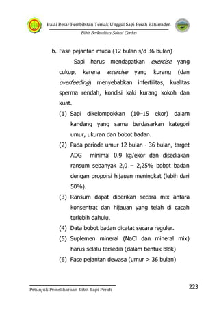 Balai Besar Pembibitan Ternak Unggul Sapi Perah Baturraden
Bibit Berkualitas Solusi Cerdas
Petunjuk Pemeliharaan Bibit Sapi Perah
223
b. Fase pejantan muda (12 bulan s/d 36 bulan)
Sapi harus mendapatkan exercise yang
cukup, karena exercise yang kurang (dan
overfeeding) menyebabkan infertilitas, kualitas
sperma rendah, kondisi kaki kurang kokoh dan
kuat.
(1) Sapi dikelompokkan (10–15 ekor) dalam
kandang yang sama berdasarkan kategori
umur, ukuran dan bobot badan.
(2) Pada periode umur 12 bulan - 36 bulan, target
ADG minimal 0.9 kg/ekor dan disediakan
ransum sebanyak 2,0 – 2,25% bobot badan
dengan proporsi hijauan meningkat (lebih dari
50%).
(3) Ransum dapat diberikan secara mix antara
konsentrat dan hijauan yang telah di cacah
terlebih dahulu.
(4) Data bobot badan dicatat secara reguler.
(5) Suplemen mineral (NaCl dan mineral mix)
harus selalu tersedia (dalam bentuk blok)
(6) Fase pejantan dewasa (umur > 36 bulan)
 