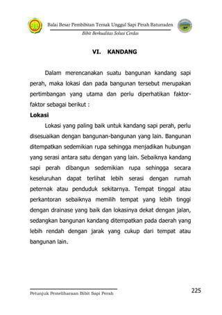 Balai Besar Pembibitan Ternak Unggul Sapi Perah Baturraden
Bibit Berkualitas Solusi Cerdas
Petunjuk Pemeliharaan Bibit Sapi Perah
225
VI. KANDANG
Dalam merencanakan suatu bangunan kandang sapi
perah, maka lokasi dan pada bangunan tersebut merupakan
pertimbangan yang utama dan perlu diperhatikan faktor-
faktor sebagai berikut :
Lokasi
Lokasi yang paling baik untuk kandang sapi perah, perlu
disesuaikan dengan bangunan-bangunan yang lain. Bangunan
ditempatkan sedemikian rupa sehingga menjadikan hubungan
yang serasi antara satu dengan yang lain. Sebaiknya kandang
sapi perah dibangun sedemikian rupa sehingga secara
keseluruhan dapat terlihat lebih serasi dengan rumah
peternak atau penduduk sekitarnya. Tempat tinggal atau
perkantoran sebaiknya memilih tempat yang lebih tinggi
dengan drainase yang baik dan lokasinya dekat dengan jalan,
sedangkan bangunan kandang ditempatkan pada daerah yang
lebih rendah dengan jarak yang cukup dari tempat atau
bangunan lain.
 