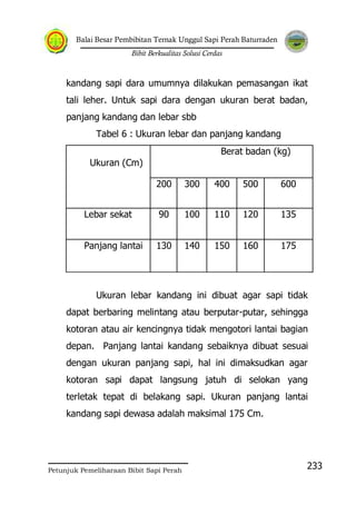 Balai Besar Pembibitan Ternak Unggul Sapi Perah Baturraden
Bibit Berkualitas Solusi Cerdas
Petunjuk Pemeliharaan Bibit Sapi Perah
233
kandang sapi dara umumnya dilakukan pemasangan ikat
tali leher. Untuk sapi dara dengan ukuran berat badan,
panjang kandang dan lebar sbb
Tabel 6 : Ukuran lebar dan panjang kandang
Ukuran (Cm)
Berat badan (kg)
200 300 400 500 600
Lebar sekat 90 100 110 120 135
Panjang lantai 130 140 150 160 175
Ukuran lebar kandang ini dibuat agar sapi tidak
dapat berbaring melintang atau berputar-putar, sehingga
kotoran atau air kencingnya tidak mengotori lantai bagian
depan. Panjang lantai kandang sebaiknya dibuat sesuai
dengan ukuran panjang sapi, hal ini dimaksudkan agar
kotoran sapi dapat langsung jatuh di selokan yang
terletak tepat di belakang sapi. Ukuran panjang lantai
kandang sapi dewasa adalah maksimal 175 Cm.
 