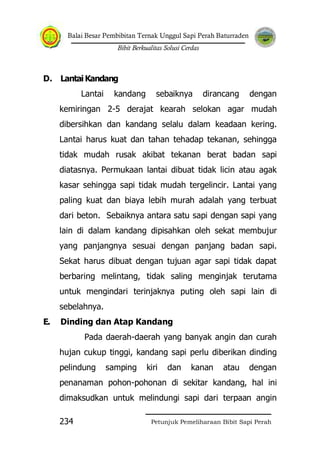 Balai Besar Pembibitan Ternak Unggul Sapi Perah Baturraden
Bibit Berkualitas Solusi Cerdas
Petunjuk Pemeliharaan Bibit Sapi Perah234
D. Lantai Kandang
Lantai kandang sebaiknya dirancang dengan
kemiringan 2-5 derajat kearah selokan agar mudah
dibersihkan dan kandang selalu dalam keadaan kering.
Lantai harus kuat dan tahan tehadap tekanan, sehingga
tidak mudah rusak akibat tekanan berat badan sapi
diatasnya. Permukaan lantai dibuat tidak licin atau agak
kasar sehingga sapi tidak mudah tergelincir. Lantai yang
paling kuat dan biaya lebih murah adalah yang terbuat
dari beton. Sebaiknya antara satu sapi dengan sapi yang
lain di dalam kandang dipisahkan oleh sekat membujur
yang panjangnya sesuai dengan panjang badan sapi.
Sekat harus dibuat dengan tujuan agar sapi tidak dapat
berbaring melintang, tidak saling menginjak terutama
untuk mengindari terinjaknya puting oleh sapi lain di
sebelahnya.
E. Dinding dan Atap Kandang
Pada daerah-daerah yang banyak angin dan curah
hujan cukup tinggi, kandang sapi perlu diberikan dinding
pelindung samping kiri dan kanan atau dengan
penanaman pohon-pohonan di sekitar kandang, hal ini
dimaksudkan untuk melindungi sapi dari terpaan angin
 