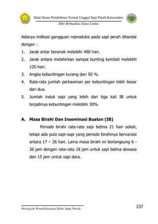 Balai Besar Pembibitan Ternak Unggul Sapi Perah Baturraden
Bibit Berkualitas Solusi Cerdas
Petunjuk Pemeliharaan Bibit Sapi Perah
237
Adanya indikasi gangguan reproduksi pada sapi perah ditandai
dengan :
1. Jarak antar beranak melebihi 400 hari.
2. Jarak antara melahirkan sampai bunting kembali melebihi
120 hari.
3. Angka kebuntingan kurang dari 50 %.
4. Rata-rata jumlah perkawinan per kebuntingan lebih besar
dari dua.
5. Jumlah induk sapi yang lebih dari tiga kali IB untuk
terjadinya kebuntingan melebihi 30%.
A. Masa Birahi Dan Inseminasi Buatan (IB)
Periode birahi rata-rata sapi betina 21 hari sekali,
tetapi ada pula sapi-sapi yang periode birahinya bervariasi
antara 17 – 26 hari. Lama masa birahi ini berlangsung 6 -
36 jam dengan rata-rata 18 jam untuk sapi betina dewasa
dan 15 jam untuk sapi dara.
 