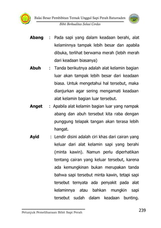 Balai Besar Pembibitan Ternak Unggul Sapi Perah Baturraden
Bibit Berkualitas Solusi Cerdas
Petunjuk Pemeliharaan Bibit Sapi Perah
239
Abang : Pada sapi yang dalam keadaan berahi, alat
kelaminnya tampak lebih besar dan apabila
dibuka, terlihat berwama merah (lebih merah
dari keadaan biasanya)
Abuh : Tanda berikutnya adalah alat kelamin bagian
luar akan tampak lebih besar dari keadaan
biasa. Untuk mengetahui hal tersebut, maka
dianjurkan agar sering mengamati keadaan
alat kelamin bagian luar tersebut.
Anget : Apabila alat kelamin bagian luar yang nampak
abang dan abuh tersebut kita raba dengan
punggung telapak tangan akan terasa lebih
hangat.
Ayid : Lendir disini adalah ciri khas dari cairan yang
keluar dari alat kelamin sapi yang berahi
(minta kawin). Namun perlu diperhatikan
tentang cairan yang keluar tersebut, karena
ada kemungkinan bukan merupakan tanda
bahwa sapi tersebut minta kawin, tetapi sapi
tersebut ternyata ada penyakit pada alat
kelaminnya atau bahkan mungkin sapi
tersebut sudah dalam keadaan bunting.
 