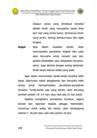 Balai Besar Pembibitan Ternak Unggul Sapi Perah Baturraden
Bibit Berkualitas Solusi Cerdas
Petunjuk Pemeliharaan Bibit Sapi Perah240
Adapun cairan yang dimaksud tersebut
adalah lendir yang merupakan tanda khas
dari sapi yang minta kawin, bentuknya lendir
yang jernih, bening berkaca-kaca dan agak
lengket.
Angot : Sapi dalam keadaan berahi, akan
menunjukkan perubahan tingkah laku yaitu
akan berusaha untuk menaiki sapi lain,
apabila didekatkan atau dilepaskan bersama-
sama. Juga disertai dengan sering berteriak-
teriak tanpa adanya sebab yang pasti.
Agar dalam menentukan tanda-tanda tersebut lebih
tepat, diperlukan sekali pengalaman dan berusaha lebih
sering untuk memperhatikan perubahan-perubahan
tersebut. Tanda-tanda sapi yang berahi, akan berulang
kembali setelah 18-24 hari, atau rata-rata 21 hari sekali.
Apabila mengetahui perubahan tersebut, segera
dicatat dan laporkan kepada petugas inseminator.
Umumnya untuk setiap kali berahi, akan berlangsung
selama 3 - 36 jam atau rata-rata selama 18 jam.
 