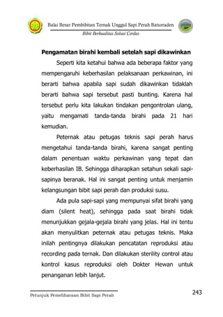 Balai Besar Pembibitan Ternak Unggul Sapi Perah Baturraden
Bibit Berkualitas Solusi Cerdas
Petunjuk Pemeliharaan Bibit Sapi Perah
243
Pengamatan birahi kembali setelah sapi dikawinkan
Seperti kita ketahui bahwa ada beberapa faktor yang
mempengaruhi keberhasilan pelaksanaan perkawinan, ini
berarti bahwa apabila sapi sudah dikawinkan tidaklah
berarti bahwa sapi tersebut pasti bunting. Karena hal
tersebut perlu kita lakukan tindakan pengontrolan ulang,
yaitu mengamati tanda-tanda birahi pada 21 hari
kemudian.
Peternak atau petugas teknis sapi perah harus
mengetahui tanda-tanda birahi, karena sangat penting
dalam penentuan waktu perkawinan yang tepat dan
keberhasilan IB. Sehingga diharapkan setahun sekali sapi-
sapinya beranak. Hal ini sangat penting untuk menjamin
kelangsungan bibit sapi perah dan produksi susu.
Ada pula sapi-sapi yang mempunyai sifat birahi yang
diam (silent heat), sehingga pada saat birahi tidak
menunjukkan gejala-gejala birahi yang jelas. Hal ini tentu
akan menyulitkan peternak atau petugas teknis. Maka
inilah pentingnya dilakukan pencatatan reproduksi atau
recording pada ternak. Dan dilakukan sterility control atau
kontrol kasus reproduksi oleh Dokter Hewan untuk
penanganan lebih lanjut.
 