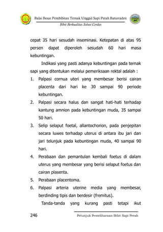 Balai Besar Pembibitan Ternak Unggul Sapi Perah Baturraden
Bibit Berkualitas Solusi Cerdas
Petunjuk Pemeliharaan Bibit Sapi Perah246
cepat 35 hari sesudah inseminasi. Ketepatan di atas 95
persen dapat diperoleh sesudah 60 hari masa
kebuntingan.
Indikasi yang pasti adanya kebuntingan pada ternak
sapi yang ditentukan melalui pemeriksaan rektal adalah :
1. Palpasi cornua uteri yang membesar berisi cairan
placenta dari hari ke 30 sampai 90 periode
kebuntingan.
2. Palpasi secara halus dan sangat hati-hati terhadap
kantung amnion pada kebuntingan muda, 35 sampai
50 hari.
3. Selip selaput foetal, allantochorion, pada penjepitan
secara luwes terhadap uterus di antara ibu jari dan
jari telunjuk pada kebuntingan muda, 40 sampai 90
hari.
4. Perabaan dan pemantulan kembali foetus di dalam
uterus yang membesar yang berisi selaput foetus dan
cairan plasenta.
5. Perabaan placentoma.
6. Palpasi arteria uterine media yang membesar,
berdinding tipis dan berdesir (fremitus).
Tanda-tanda yang kurang pasti tetapi ikut
 