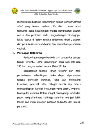 Balai Besar Pembibitan Ternak Unggul Sapi Perah Baturraden
Bibit Berkualitas Solusi Cerdas
Petunjuk Pemeliharaan Bibit Sapi Perah
247
menentukan diagnose kebuntingan adalah asimetri cornua
uteri yang teraba melalui bifurcation cornua uteri
terutama pada kebuntingan muda; pembesaran ukuran
uterus dan penipisan serta pengembangan dindingnya;
lokasi uterus di dalam rongga abdomen; lokasi , ukuran
dan persistensi corpus luteum; dan perubahan-perubahan
vaginal.
C. Persiapan Kelahiran
Periode kebuntingan berbeda dari bangsa ke bangsa
ternak tertentu. Lama kebuntingan pada sapi rata-rata
280 hari dengan variasi antara 274 – 291 hari.
Berdasarkan tanggal kawin terakhir dan hasil
pemeriksaan kebuntingan maka dapat diperkirakan
tanggal perkiraan beranak. Pada saat menjelang
kelahiran, peternak atau petugas teknis sapi harus
mempersiapkan kondisi lingkungan yang bersih, hygienis,
tenang dan nyaman. Hal ini sangat penting bagi induk dan
pedet yang dilahirkan, sehingga kelahiran menjadi lebih
lancar dan induk maupun anaknya terhindar dari infeksi
penyakit.
 