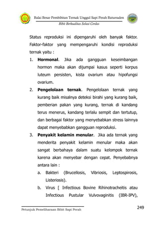 Balai Besar Pembibitan Ternak Unggul Sapi Perah Baturraden
Bibit Berkualitas Solusi Cerdas
Petunjuk Pemeliharaan Bibit Sapi Perah
249
Status reproduksi ini dipengaruhi oleh banyak faktor.
Faktor-faktor yang mempengaruhi kondisi reproduksi
ternak yaitu :
1. Hormonal. Jika ada gangguan keseimbangan
hormon maka akan dijumpai kasus seperti korpus
luteum persisten, kista ovarium atau hipofungsi
ovarium.
2. Pengelolaan ternak. Pengelolaan ternak yang
kurang baik misalnya deteksi birahi yang kurang baik,
pemberian pakan yang kurang, ternak di kandang
terus menerus, kandang terlalu sempit dan tertutup,
dan berbagai faktor yang menyebabkan stress lainnya
dapat menyebabkan gangguan reproduksi.
3. Penyakit kelamin menular. Jika ada ternak yang
menderita penyakit kelamin menular maka akan
sangat berbahaya dalam suatu kelompok ternak
karena akan menyebar dengan cepat. Penyebabnya
antara lain :
a. Bakteri (Brucellosis, Vibriosis, Leptospirosis,
Listeriosis).
b. Virus [ Infectious Bovine Rihinotracheitis atau
Infectious Pustular Vulvovaginitis (IBR-IPV),
 
