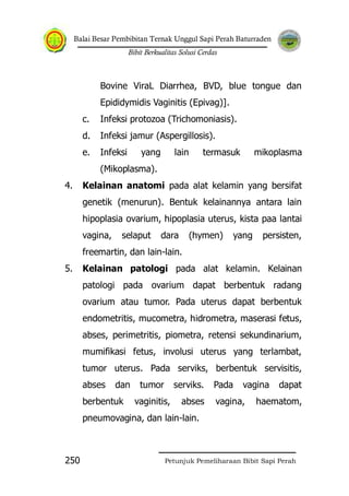 Balai Besar Pembibitan Ternak Unggul Sapi Perah Baturraden
Bibit Berkualitas Solusi Cerdas
Petunjuk Pemeliharaan Bibit Sapi Perah250
Bovine ViraL Diarrhea, BVD, blue tongue dan
Epididymidis Vaginitis (Epivag)].
c. Infeksi protozoa (Trichomoniasis).
d. Infeksi jamur (Aspergillosis).
e. Infeksi yang lain termasuk mikoplasma
(Mikoplasma).
4. Kelainan anatomi pada alat kelamin yang bersifat
genetik (menurun). Bentuk kelainannya antara lain
hipoplasia ovarium, hipoplasia uterus, kista paa lantai
vagina, selaput dara (hymen) yang persisten,
freemartin, dan lain-lain.
5. Kelainan patologi pada alat kelamin. Kelainan
patologi pada ovarium dapat berbentuk radang
ovarium atau tumor. Pada uterus dapat berbentuk
endometritis, mucometra, hidrometra, maserasi fetus,
abses, perimetritis, piometra, retensi sekundinarium,
mumifikasi fetus, involusi uterus yang terlambat,
tumor uterus. Pada serviks, berbentuk servisitis,
abses dan tumor serviks. Pada vagina dapat
berbentuk vaginitis, abses vagina, haematom,
pneumovagina, dan lain-lain.
 