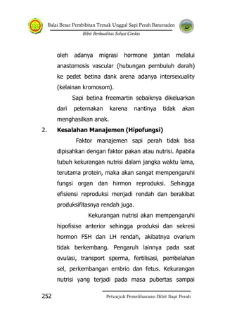 Balai Besar Pembibitan Ternak Unggul Sapi Perah Baturraden
Bibit Berkualitas Solusi Cerdas
Petunjuk Pemeliharaan Bibit Sapi Perah252
oleh adanya migrasi hormone jantan melalui
anastomosis vascular (hubungan pembuluh darah)
ke pedet betina dank arena adanya intersexuality
(kelainan kromosom).
Sapi betina freemartin sebaiknya dikeluarkan
dari peternakan karena nantinya tidak akan
menghasilkan anak.
2. Kesalahan Manajemen (Hipofungsi)
Faktor manajemen sapi perah tidak bisa
dipisahkan dengan faktor pakan atau nutrisi. Apabila
tubuh kekurangan nutrisi dalam jangka waktu lama,
terutama protein, maka akan sangat mempengaruhi
fungsi organ dan hirmon reproduksi. Sehingga
efisiensi reproduksi menjadi rendah dan berakibat
produksifitasnya rendah juga.
Kekurangan nutrisi akan mempengaruhi
hipofisise anterior sehingga produksi dan sekresi
hormon FSH dan LH rendah, akibatnya ovarium
tidak berkembang. Pengaruh lainnya pada saat
ovulasi, transport sperma, fertilisasi, pembelahan
sel, perkembangan embrio dan fetus. Kekurangan
nutrisi yang terjadi pada masa pubertas sampai
 