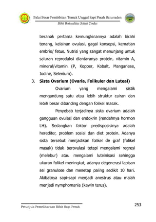 Balai Besar Pembibitan Ternak Unggul Sapi Perah Baturraden
Bibit Berkualitas Solusi Cerdas
Petunjuk Pemeliharaan Bibit Sapi Perah
253
beranak pertama kemungkinannya adalah birahi
tenang, kelainan ovulasi, gagal konsepsi, kematian
embrio/ fetus. Nutrisi yang sangat menunjang untuk
saluran reproduksi diantaranya protein, vitamin A,
mineral/vitamin (P, Kopper, Kobalt, Manganese,
Iodine, Selenium).
3. Sista Ovarium (Ovaria, Folikuler dan Luteal)
Ovarium yang mengalami sistik
mengandung satu atau lebih struktur cairan dan
lebih besar dibanding dengan folikel masak.
Penyebab terjadinya sista ovarium adalah
gangguan ovulasi dan endokrin (rendahnya hormon
LH). Sedangkan faktor predisposisinya adalah
herediter, problem sosial dan diet protein. Adanya
sista tersebut menjadikan folikel de graf (folikel
masak) tidak berovulasi tetapi mengalami regresi
(melebur) atau mengalami luteinisasi sehingga
ukuran folikel meningkat, adanya degenerasi lapisan
sel granulose dan menetap paling sedikit 10 hari.
Akibatnya sapi-sapi menjadi anestrus atau malah
menjadi nymphomania (kawin terus).
 