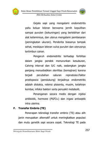 Balai Besar Pembibitan Ternak Unggul Sapi Perah Baturraden
Bibit Berkualitas Solusi Cerdas
Petunjuk Pemeliharaan Bibit Sapi Perah
257
Gejala sapi yang mengalami endometritis
yaitu keluar leleran berwarna jernih keputihan
sampai purulen (kekuningan) yang berlebihan dari
alat kelaminnya, dan uterus mengalami pembesaran
(peningkatan ukuran). Penderita biasanya tampak
sehat, meskipun leleran vulva purulen dan uterusnya
tertimbun cairan.
Pengaruh endometritis terhadap fertilitas
dalam jangka pendek menurunkan kesuburan,
Calving interval dan S/C naik, sedangkan jangka
panjang menyebabkan sterilitas (kemajiran) karena
terjadi perubahan saluran reproduksi.Faktor
predisposisi (pendukung) terjadinya endometritis
adalah distokia, retensi plasenta, musim, kelahiran
kembar, infeksi bakteri serta penyakit metabolit.
Penanganan secara medis dengan injeksi
antibiotik, hormone (PGF2 ) dan irigasi antiseptik
intra uterina.
F. Transfer Embrio (TE)
Penerapan teknologi transfer embrio (TE) atau alih
janin merupakan alternatif untuk meningkatkan populasi
dan mutu genetik sapi secara cepat. Teknologi TE pada
 