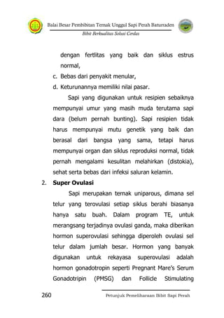 Balai Besar Pembibitan Ternak Unggul Sapi Perah Baturraden
Bibit Berkualitas Solusi Cerdas
Petunjuk Pemeliharaan Bibit Sapi Perah260
dengan fertlitas yang baik dan siklus estrus
normal,
c. Bebas dari penyakit menular,
d. Keturunannya memiliki nilai pasar.
Sapi yang digunakan untuk resipien sebaiknya
mempunyai umur yang masih muda terutama sapi
dara (belum pernah bunting). Sapi resipien tidak
harus mempunyai mutu genetik yang baik dan
berasal dari bangsa yang sama, tetapi harus
mempunyai organ dan siklus reproduksi normal, tidak
pernah mengalami kesulitan melahirkan (distokia),
sehat serta bebas dari infeksi saluran kelamin.
2. Super Ovulasi
Sapi merupakan ternak uniparous, dimana sel
telur yang terovulasi setiap siklus berahi biasanya
hanya satu buah. Dalam program TE, untuk
merangsang terjadinya ovulasi ganda, maka diberikan
hormon superovulasi sehingga diperoleh ovulasi sel
telur dalam jumlah besar. Hormon yang banyak
digunakan untuk rekayasa superovulasi adalah
hormon gonadotropin seperti Pregnant Mare‟s Serum
Gonadotripin (PMSG) dan Follicle Stimulating
 