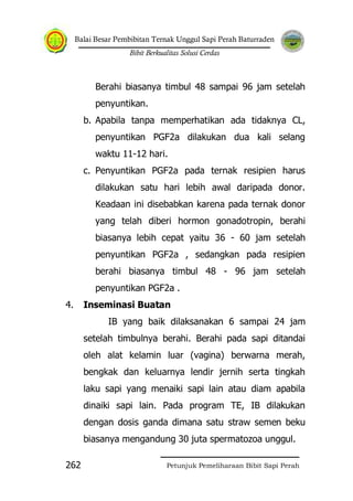 Balai Besar Pembibitan Ternak Unggul Sapi Perah Baturraden
Bibit Berkualitas Solusi Cerdas
Petunjuk Pemeliharaan Bibit Sapi Perah262
Berahi biasanya timbul 48 sampai 96 jam setelah
penyuntikan.
b. Apabila tanpa memperhatikan ada tidaknya CL,
penyuntikan PGF2a dilakukan dua kali selang
waktu 11-12 hari.
c. Penyuntikan PGF2a pada ternak resipien harus
dilakukan satu hari lebih awal daripada donor.
Keadaan ini disebabkan karena pada ternak donor
yang telah diberi hormon gonadotropin, berahi
biasanya lebih cepat yaitu 36 - 60 jam setelah
penyuntikan PGF2a , sedangkan pada resipien
berahi biasanya timbul 48 - 96 jam setelah
penyuntikan PGF2a .
4. Inseminasi Buatan
IB yang baik dilaksanakan 6 sampai 24 jam
setelah timbulnya berahi. Berahi pada sapi ditandai
oleh alat kelamin luar (vagina) berwarna merah,
bengkak dan keluarnya lendir jernih serta tingkah
laku sapi yang menaiki sapi lain atau diam apabila
dinaiki sapi lain. Pada program TE, IB dilakukan
dengan dosis ganda dimana satu straw semen beku
biasanya mengandung 30 juta spermatozoa unggul.
 