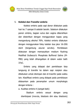 Balai Besar Pembibitan Ternak Unggul Sapi Perah Baturraden
Bibit Berkualitas Solusi Cerdas
Petunjuk Pemeliharaan Bibit Sapi Perah
263
5. Koleksi dan Transfer embrio
Koleksi embrio pada sapi donor dilakukan pada
hari ke 7 sampai 8 setelah berahi. Sebelum dilakukan
panen embrio, bagian vulva dan vagina dibersihkan
dan disterilkan dengan menggunakan kapas yang
mengandung alkohol 70%. Koleksi embrio dilakukan
dengan menggunakan foley kateter dua jalur 16-20G
steril (tergantung ukuran serviks). Pembilasan
dilakukan dengan memasukkan medium flushing
Modified Dulbecco‟s Phosphate Buffered Saline (M-
PBS) yang telah dihangatkan di dalam water bath
37oC.
Embrio yang didapat dari pembilasan bisa
langsung di transfer ke dalam sapi resipien atau
dibekukan untuk disimpan dan di trasnfer pada waktu
lain. Klasifikasi embrio yang didapat pada pembilasan
didasarkan pada penampilan umum morphologis
dengan kriteria :
a. Kualitas embrio A (sangat baik)
Stadium embrio sesuai dengan yang
diantisipasi (morula, blastosis dini atau blastosis)
 