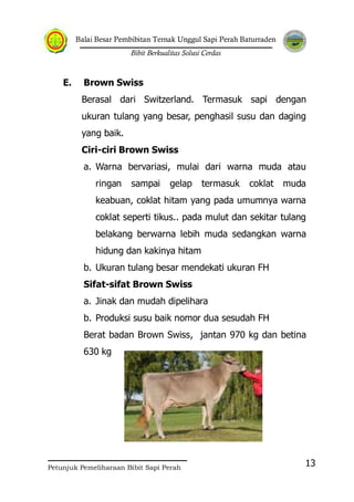 Balai Besar Pembibitan Ternak Unggul Sapi Perah Baturraden
Bibit Berkualitas Solusi Cerdas
Petunjuk Pemeliharaan Bibit Sapi Perah
13
E. Brown Swiss
Berasal dari Switzerland. Termasuk sapi dengan
ukuran tulang yang besar, penghasil susu dan daging
yang baik.
Ciri-ciri Brown Swiss
a. Warna bervariasi, mulai dari warna muda atau
ringan sampai gelap termasuk coklat muda
keabuan, coklat hitam yang pada umumnya warna
coklat seperti tikus.. pada mulut dan sekitar tulang
belakang berwarna lebih muda sedangkan warna
hidung dan kakinya hitam
b. Ukuran tulang besar mendekati ukuran FH
Sifat-sifat Brown Swiss
a. Jinak dan mudah dipelihara
b. Produksi susu baik nomor dua sesudah FH
Berat badan Brown Swiss, jantan 970 kg dan betina
630 kg
 