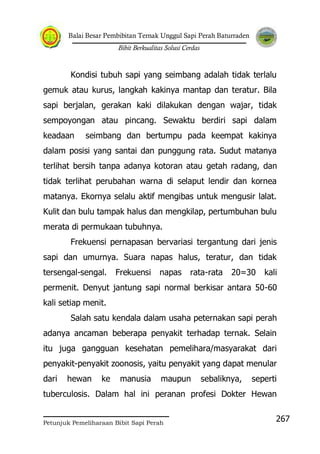 Balai Besar Pembibitan Ternak Unggul Sapi Perah Baturraden
Bibit Berkualitas Solusi Cerdas
Petunjuk Pemeliharaan Bibit Sapi Perah
267
Kondisi tubuh sapi yang seimbang adalah tidak terlalu
gemuk atau kurus, langkah kakinya mantap dan teratur. Bila
sapi berjalan, gerakan kaki dilakukan dengan wajar, tidak
sempoyongan atau pincang. Sewaktu berdiri sapi dalam
keadaan seimbang dan bertumpu pada keempat kakinya
dalam posisi yang santai dan punggung rata. Sudut matanya
terlihat bersih tanpa adanya kotoran atau getah radang, dan
tidak terlihat perubahan warna di selaput lendir dan kornea
matanya. Ekornya selalu aktif mengibas untuk mengusir lalat.
Kulit dan bulu tampak halus dan mengkilap, pertumbuhan bulu
merata di permukaan tubuhnya.
Frekuensi pernapasan bervariasi tergantung dari jenis
sapi dan umurnya. Suara napas halus, teratur, dan tidak
tersengal-sengal. Frekuensi napas rata-rata 20=30 kali
permenit. Denyut jantung sapi normal berkisar antara 50-60
kali setiap menit.
Salah satu kendala dalam usaha peternakan sapi perah
adanya ancaman beberapa penyakit terhadap ternak. Selain
itu juga gangguan kesehatan pemelihara/masyarakat dari
penyakit-penyakit zoonosis, yaitu penyakit yang dapat menular
dari hewan ke manusia maupun sebaliknya, seperti
tuberculosis. Dalam hal ini peranan profesi Dokter Hewan
 