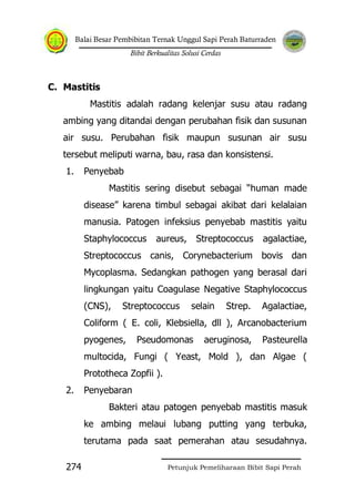 Balai Besar Pembibitan Ternak Unggul Sapi Perah Baturraden
Bibit Berkualitas Solusi Cerdas
Petunjuk Pemeliharaan Bibit Sapi Perah274
C. Mastitis
Mastitis adalah radang kelenjar susu atau radang
ambing yang ditandai dengan perubahan fisik dan susunan
air susu. Perubahan fisik maupun susunan air susu
tersebut meliputi warna, bau, rasa dan konsistensi.
1. Penyebab
Mastitis sering disebut sebagai “human made
disease” karena timbul sebagai akibat dari kelalaian
manusia. Patogen infeksius penyebab mastitis yaitu
Staphylococcus aureus, Streptococcus agalactiae,
Streptococcus canis, Corynebacterium bovis dan
Mycoplasma. Sedangkan pathogen yang berasal dari
lingkungan yaitu Coagulase Negative Staphylococcus
(CNS), Streptococcus selain Strep. Agalactiae,
Coliform ( E. coli, Klebsiella, dll ), Arcanobacterium
pyogenes, Pseudomonas aeruginosa, Pasteurella
multocida, Fungi ( Yeast, Mold ), dan Algae (
Prototheca Zopfii ).
2. Penyebaran
Bakteri atau patogen penyebab mastitis masuk
ke ambing melaui lubang putting yang terbuka,
terutama pada saat pemerahan atau sesudahnya.
 