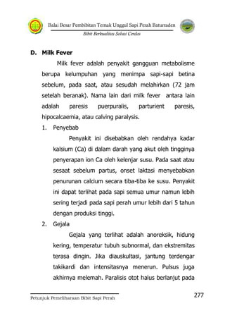 Balai Besar Pembibitan Ternak Unggul Sapi Perah Baturraden
Bibit Berkualitas Solusi Cerdas
Petunjuk Pemeliharaan Bibit Sapi Perah
277
D. Milk Fever
Milk fever adalah penyakit gangguan metabolisme
berupa kelumpuhan yang menimpa sapi-sapi betina
sebelum, pada saat, atau sesudah melahirkan (72 jam
setelah beranak). Nama lain dari milk fever antara lain
adalah paresis puerpuralis, parturient paresis,
hipocalcaemia, atau calving paralysis.
1. Penyebab
Penyakit ini disebabkan oleh rendahya kadar
kalsium (Ca) di dalam darah yang akut oleh tingginya
penyerapan ion Ca oleh kelenjar susu. Pada saat atau
sesaat sebelum partus, onset laktasi menyebabkan
penurunan calcium secara tiba-tiba ke susu. Penyakit
ini dapat terlihat pada sapi semua umur namun lebih
sering terjadi pada sapi perah umur lebih dari 5 tahun
dengan produksi tinggi.
2. Gejala
Gejala yang terlihat adalah anoreksik, hidung
kering, temperatur tubuh subnormal, dan ekstremitas
terasa dingin. Jika diauskultasi, jantung terdengar
takikardi dan intensitasnya menerun. Pulsus juga
akhirnya melemah. Paralisis otot halus berlanjut pada
 