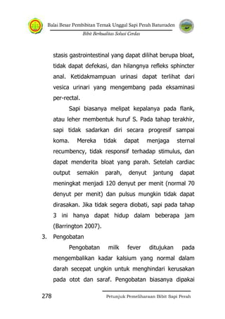 Balai Besar Pembibitan Ternak Unggul Sapi Perah Baturraden
Bibit Berkualitas Solusi Cerdas
Petunjuk Pemeliharaan Bibit Sapi Perah278
stasis gastrointestinal yang dapat dilihat berupa bloat,
tidak dapat defekasi, dan hilangnya refleks sphincter
anal. Ketidakmampuan urinasi dapat terlihat dari
vesica urinari yang mengembang pada eksaminasi
per-rectal.
Sapi biasanya melipat kepalanya pada flank,
atau leher membentuk huruf S. Pada tahap terakhir,
sapi tidak sadarkan diri secara progresif sampai
koma. Mereka tidak dapat menjaga sternal
recumbency, tidak responsif terhadap stimulus, dan
dapat menderita bloat yang parah. Setelah cardiac
output semakin parah, denyut jantung dapat
meningkat menjadi 120 denyut per menit (normal 70
denyut per menit) dan pulsus mungkin tidak dapat
dirasakan. Jika tidak segera diobati, sapi pada tahap
3 ini hanya dapat hidup dalam beberapa jam
(Barrington 2007).
3. Pengobatan
Pengobatan milk fever ditujukan pada
mengembalikan kadar kalsium yang normal dalam
darah secepat ungkin untuk menghindari kerusakan
pada otot dan saraf. Pengobatan biasanya dipakai
 