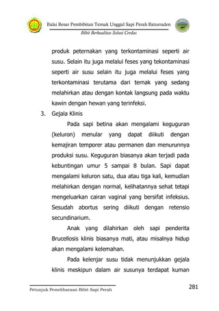Balai Besar Pembibitan Ternak Unggul Sapi Perah Baturraden
Bibit Berkualitas Solusi Cerdas
Petunjuk Pemeliharaan Bibit Sapi Perah
281
produk peternakan yang terkontaminasi seperti air
susu. Selain itu juga melalui feses yang tekontaminasi
seperti air susu selain itu juga melalui feses yang
terkontaminasi terutama dari ternak yang sedang
melahirkan atau dengan kontak langsung pada waktu
kawin dengan hewan yang terinfeksi.
3. Gejala Klinis
Pada sapi betina akan mengalami keguguran
(keluron) menular yang dapat diikuti dengan
kemajiran temporer atau permanen dan menurunnya
produksi susu. Keguguran biasanya akan terjadi pada
kebuntingan umur 5 sampai 8 bulan. Sapi dapat
mengalami keluron satu, dua atau tiga kali, kemudian
melahirkan dengan normal, kelihatannya sehat tetapi
mengeluarkan cairan vaginal yang bersifat infeksius.
Sesudah abortus sering diikuti dengan retensio
secundinarium.
Anak yang dilahirkan oleh sapi penderita
Brucellosis klinis biasanya mati, atau misalnya hidup
akan mengalami kelemahan.
Pada kelenjar susu tidak menunjukkan gejala
klinis meskipun dalam air susunya terdapat kuman
 