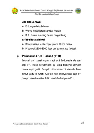 Balai Besar Pembibitan Ternak Unggul Sapi Perah Baturraden
Bibit Berkualitas Solusi Cerdas
Petunjuk Pemeliharaan Bibit Sapi Perah
15
Ciri-ciri Sahiwal
a. Potongan tubuh besar
b. Warna kecoklatan sampai merah
c. Bulu halus, ambing besar bergantung
Sifat-sifat Sahiwal
a. Kedewasaan lebih cepat yakni 20-25 bulan
b. Produksi 2500-3000 liter per satu masa laktasi
C. Peranakan Fries Holland (PFH)
Berasal dari persilangan sapi asli Indonesia dengan
sapi FH. Hasil persilangan ini lebig terkenal dengan
nama sapi grati. Banyak diternakan di daerah Jawa
Timur yaitu di Grati. Ciri-ciri fisik menyerupai sapi FH
dan produksi relative lebih rendah dari pada FH.
 