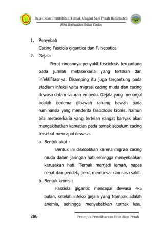 Balai Besar Pembibitan Ternak Unggul Sapi Perah Baturraden
Bibit Berkualitas Solusi Cerdas
Petunjuk Pemeliharaan Bibit Sapi Perah286
1. Penyebab
Cacing Fasciola gigantica dan F. hepatica
2. Gejala
Berat ringannya penyakit fasciolosis tergantung
pada jumlah metaserkaria yang tertelan dan
infektifitasnya. Disamping itu juga tergantung pada
stadium infeksi yaitu migrasi cacing muda dan cacing
dewasa dalam saluran empedu. Gejala yang menonjol
adalah oedema dibawah rahang bawah pada
ruminansia yang menderita fasciolosis kronis. Namun
bila metaserkaria yang tertelan sangat banyak akan
mengakibatkan kematian pada ternak sebelum cacing
tersebut mencapai dewasa.
a. Bentuk akut :
Bentuk ini disebabkan karena migrasi cacing
muda dalam jaringan hati sehingga menyebabkan
kerusakan hati. Ternak menjadi lemah, napas
cepat dan pendek, perut membesar dan rasa sakit.
b. Bentuk kronis :
Fasciola gigantic mencapai dewasa 4-5
bulan, setelah infeksi gejala yang Nampak adalah
anemia, sehingga menyebabkan ternak lesu,
 