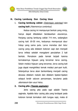Balai Besar Pembibitan Ternak Unggul Sapi Perah Baturraden
Bibit Berkualitas Solusi Cerdas
Petunjuk Pemeliharaan Bibit Sapi Perah288
H. Cacing Lambung Dan Cacing Usus
1. Cacing lambung coklat (Ostertagia ostertagi) dan
cacing kait (Haemoncus contortus).
Kedua cacing ini mempunyai bentuk yang mirip,
hanya dapat dibedakan berdasarkan ukurannya.
Panjang cacing lambung coklat 7-9 mm, sedangkan
cacing kait 10-30 mm, keduanya mempunyai daur
hidup yang sama pula. Larva menetas dari telur
cacing yang ada didalam kotoran sapi dan menjadi
larva infeksi setelah mengalami perubahan 2 kali
bentuk. Penularan pada ternak terjadi karena
termakannya hijauan yang tercemar larva cacing.
Selain melalui hijauan yang tercemar, larva cacing kait
juga dapat menginfeksi ternak melalui pori-pori kulit.
Selanjutnya larva akan berkembang menjadi cacing
dewasa didalam nodule dan didalam lipatan-lipatan
selaput lendir saluran pencemaan, terutama pada
abomasum dan usus halus.
2. Cacing pita (Taenia saginata).
Jenis cacing pita pada sapi adalah Taenia
saginata. Apabila telur cacing pita yang terdapat pada
kotoran ternak termakan oleh tungau sapi, maka di
 