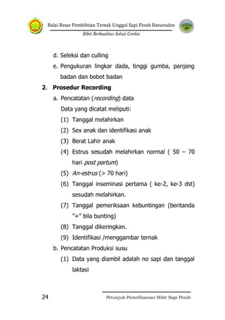 Balai Besar Pembibitan Ternak Unggul Sapi Perah Baturraden
Bibit Berkualitas Solusi Cerdas
Petunjuk Pemeliharaan Bibit Sapi Perah24
d. Seleksi dan culling
e. Pengukuran lingkar dada, tinggi gumba, panjang
badan dan bobot badan
2. Prosedur Recording
a. Pencatatan (recording) data
Data yang dicatat meliputi:
(1) Tanggal melahirkan
(2) Sex anak dan identifikasi anak
(3) Berat Lahir anak
(4) Estrus sesudah melahirkan normal ( 50 – 70
hari post partum)
(5) An-estrus (> 70 hari)
(6) Tanggal inseminasi pertama ( ke-2, ke-3 dst)
sesudah melahirkan.
(7) Tanggal pemeriksaan kebuntingan (beritanda
”+” bila bunting)
(8) Tanggal dikeringkan.
(9) Identifikasi /menggambar ternak
b. Pencatatan Produksi susu
(1) Data yang diambil adalah no sapi dan tanggal
laktasi
 