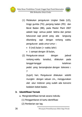 Balai Besar Pembibitan Ternak Unggul Sapi Perah Baturraden
Bibit Berkualitas Solusi Cerdas
Petunjuk Pemeliharaan Bibit Sapi Perah26
(1) Melakukan pengukuran Lingkar Dada (LD),
tinggi gumba (TG) ,panjang badan (PD) dan
Berat Badan (BB), pada Master Plant 2007
adalah bagi semua pedet betina dan jantan
keturunan sapi perah yang ada langsung
dikandang sapi dengan rentang waktu
pengukuran pada umur-umur :
0 (nol) bulan (= waktu lahir)
1 sampai dengan 18 bulan,
(2) Pengukuran sesuai dengan jadwal
rentang waktu tersebut, dilakukan pada
tanggal-tanggal kelahiran
pedet yang bersangkutan dengan toleransi
7
(tujuh) hari. Pengukuran dilakukan seteliti
mungkin dengan satuan cm., menggunakan
alat ukur meteran yang sudah ada konversi
kedalam bobot badan.
3. Identifikasi Ternak
a. Mengindentifikasi ternak secara individu
(1) Penggambaran di kartu identifikasi
(2) Pemberian ear tag
 
