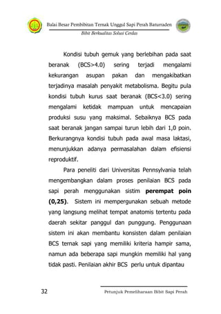 Balai Besar Pembibitan Ternak Unggul Sapi Perah Baturraden
Bibit Berkualitas Solusi Cerdas
Petunjuk Pemeliharaan Bibit Sapi Perah32
Kondisi tubuh gemuk yang berlebihan pada saat
beranak (BCS>4.0) sering terjadi mengalami
kekurangan asupan pakan dan mengakibatkan
terjadinya masalah penyakit metabolisma. Begitu pula
kondisi tubuh kurus saat beranak (BCS<3.0) sering
mengalami ketidak mampuan untuk mencapaian
produksi susu yang maksimal. Sebaiknya BCS pada
saat beranak jangan sampai turun lebih dari 1,0 poin.
Berkurangnya kondisi tubuh pada awal masa laktasi,
menunjukkan adanya permasalahan dalam efisiensi
reproduktif.
Para peneliti dari Universitas Pennsylvania telah
mengembangkan dalam proses penilaian BCS pada
sapi perah menggunakan sistim perempat poin
(0,25). Sistem ini mempergunakan sebuah metode
yang langsung melihat tempat anatomis tertentu pada
daerah sekitar panggul dan punggung. Penggunaan
sistem ini akan membantu konsisten dalam penilaian
BCS ternak sapi yang memiliki kriteria hampir sama,
namun ada beberapa sapi mungkin memiliki hal yang
tidak pasti. Penilaian akhir BCS perlu untuk dipantau
 