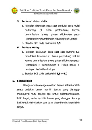 Balai Besar Pembibitan Ternak Unggul Sapi Perah Baturraden
Bibit Berkualitas Solusi Cerdas
Petunjuk Pemeliharaan Bibit Sapi Perah
43
5. Periode Laktasi akhir
a. Penilaian dilakukan pada saat produksi susu mulai
berkurang (9 bulan postpartum) karena
pemanfaatan energi pakan difokuskan pada
Reproduksi>Pertumbuhan>Hidup pokok>Laktasi
b. Standar BCS pada periode ini 3,5
6. Periode Kering
a. Penilaian dilakukan pada saat sapi bunting tua
mendekati kelahiran (1 bulan prepartum) hal ini
karena pemanfaatan energi pakan difokuskan pada
Reproduksi > Pertumbuhan > Hidup pokok >
persiapan laktasi berikutnya.
b. Standar BCS pada periode ini 3,5 – 4,0
D. Seleksi Bibit
Hardjosubroto mengemukakan bahwa seleksi adalah
suatu tindakan untuk memilih ternak yang dianggap
mempunyai mutu genetik baik untuk dikembangbiakkan
lebih lanjut, serta memilih ternak yang dianggap kurang
baik untuk disingkirkan dan tidak dikembangbiakkan lebih
lanjut.
 