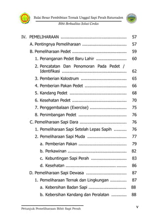 Balai Besar Pembibitan Ternak Unggul Sapi Perah Baturraden
Bibit Berkualitas Solusi Cerdas
Petunjuk Pemeliharaan Bibit Sapi Perah
v
IV. PEMELIHARAAN .................................................... 57
A. Pentingnya Pemeliharaan ................................... 57
B. Pemeliharaan Pedet ........................................... 59
1. Penanganan Pedet Baru Lahir ........................ 60
2. Pencatatan Dan Penomoran Pada Pedet /
Identifikasi ................................................... 62
3. Pemberian Kolostrum .................................... 65
4. Pemberian Pakan Pedet ................................. 66
5. Kandang Pedet ............................................. 68
6. Kesehatan Pedet ........................................... 70
7. Penggembalaan (Exercise) ............................. 75
8. Penimbangan Pedet ...................................... 76
C. Pemeliharaan Sapi Dara ..................................... 76
1. Pemeliharaan Sapi Setelah Lepas Sapih .......... 76
2. Pemeliharaan Sapi Muda ............................... 77
a. Pemberian Pakan ...................................... 79
b. Perkawinan ............................................... 82
c. Kebuntingan Sapi Perah ............................ 83
d. Kesehatan ........................................ ........ 86
D. Pemeliharaan Sapi Dewasa ................................ 87
1. Pemeliharaan Ternak dan Lingkungan ............. 87
a. Kebersihan Badan Sapi .............................. 88
b. Kebersihan Kandang dan Peralatan ............ 88
 