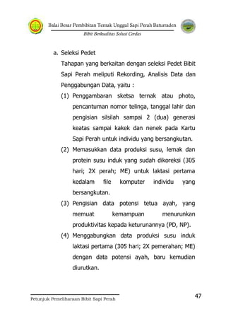 Balai Besar Pembibitan Ternak Unggul Sapi Perah Baturraden
Bibit Berkualitas Solusi Cerdas
Petunjuk Pemeliharaan Bibit Sapi Perah
47
a. Seleksi Pedet
Tahapan yang berkaitan dengan seleksi Pedet Bibit
Sapi Perah meliputi Rekording, Analisis Data dan
Penggabungan Data, yaitu :
(1) Penggambaran sketsa ternak atau photo,
pencantuman nomor telinga, tanggal lahir dan
pengisian silsilah sampai 2 (dua) generasi
keatas sampai kakek dan nenek pada Kartu
Sapi Perah untuk individu yang bersangkutan.
(2) Memasukkan data produksi susu, lemak dan
protein susu induk yang sudah dikoreksi (305
hari; 2X perah; ME) untuk laktasi pertama
kedalam file komputer individu yang
bersangkutan.
(3) Pengisian data potensi tetua ayah, yang
memuat kemampuan menurunkan
produktivitas kepada keturunannya (PD, NP).
(4) Menggabungkan data produksi susu induk
laktasi pertama (305 hari; 2X pemerahan; ME)
dengan data potensi ayah, baru kemudian
diurutkan.
 