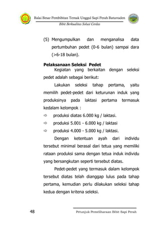 Balai Besar Pembibitan Ternak Unggul Sapi Perah Baturraden
Bibit Berkualitas Solusi Cerdas
Petunjuk Pemeliharaan Bibit Sapi Perah48
(5) Mengumpulkan dan menganalisa data
pertumbuhan pedet (0-6 bulan) sampai dara
(>6-18 bulan).
Pelaksanaan Seleksi Pedet
Kegiatan yang berkaitan dengan seleksi
pedet adalah sebagai berikut:
Lakukan seleksi tahap pertama, yaitu
memilih pedet-pedet dari keturunan induk yang
produksinya pada laktasi pertama termasuk
kedalam kelompok :
 produksi diatas 6.000 kg / laktasi.
 produksi 5.001 - 6.000 kg / laktasi
 produksi 4.000 - 5.000 kg / laktasi.
Dengan ketentuan ayah dari individu
tersebut minimal berasal dari tetua yang memiliki
rataan produksi sama dengan tetua induk individu
yang bersangkutan seperti tersebut diatas.
Pedet-pedet yang termasuk dalam kelompok
tersebut diatas telah dianggap lulus pada tahap
pertama, kemudian perlu dilakukan seleksi tahap
kedua dengan kritena seleksi.
 