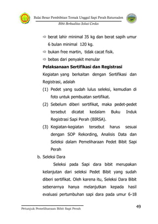 Balai Besar Pembibitan Ternak Unggul Sapi Perah Baturraden
Bibit Berkualitas Solusi Cerdas
Petunjuk Pemeliharaan Bibit Sapi Perah
49
 berat lahir minimal 35 kg dan berat sapih umur
6 bulan minimal 120 kg.
 bukan free martin, tidak cacat fisik.
 bebas dari penyakit menular
Pelaksanaan Sertifikasi dan Registrasi
Kegiatan yang berkaitan dengan Sertifikasi dan
Registrasi, adalah
(1) Pedet yang sudah lulus seleksi, kemudian di
foto untuk pembuatan sertifikat.
(2) Sebelum diberi sertifikat, maka pedet-pedet
tersebut dicatat kedalam Buku Induk
Registrasi Sapi Perah (BIRSA).
(3) Kegiatan-kegiatan tersebut harus sesuai
dengan SOP Rekording, Analisis Data dan
Seleksi dalam Pemeliharaan Pedet Bibit Sapi
Perah
b. Seleksi Dara
Seleksi pada Sapi dara bibit merupakan
kelanjutan dari seleksi Pedet Bibit yang sudah
diberi sertifikat. Oleh karena itu, Seleksi Dara Bibit
sebenarnya hanya melanjutkan kepada hasil
evaluasi pertumbuhan sapi dara pada umur 6-18
 