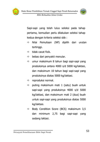 Balai Besar Pembibitan Ternak Unggul Sapi Perah Baturraden
Bibit Berkualitas Solusi Cerdas
Petunjuk Pemeliharaan Bibit Sapi Perah
53
Sapi-sapi yang telah lulus seleksi pada tahap
pertama, kemudian perlu dilakukan seleksi tahap
kedua dengan kriteria seleksi sbb :
 Nilai Pemuliaan (NP) dipilih dari urutan
tertinggi.
 tidak cacat fisik.
 bebas dari penyakit menular.
 umur maksimum 8 tahun bagi sapi-sapi yang
produksinya antara 4000 s/d 5000 kg/laktasi,
dan maksimum 10 tahun bagi sapi-sapi yang
produksinya diatas 5000 kg/laktasi.
 reproduksi normal.
 puting maksimum mati 1 (satu) buah untuk
sapi-sapi yang produksinya 4000 s/d 5000
kg/laktasi, dan maksimum mati 2 (dua) buah
untuk sapi-sapi yang produksinya diatas 5000
kg/laktasi.
 Body Condition Score (BCS) maksimum 3,5
dan minimum 2,75 bagi sapi-sapi yang
sedang laktasi.
 